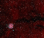 Cocoon Nebula (wide-field)