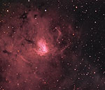 Sharpless 2-206 (NGC 1491)